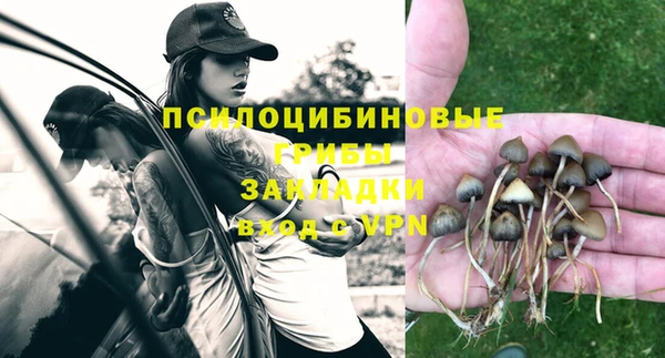 винт Баксан
