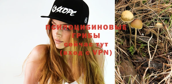 герыч Балахна