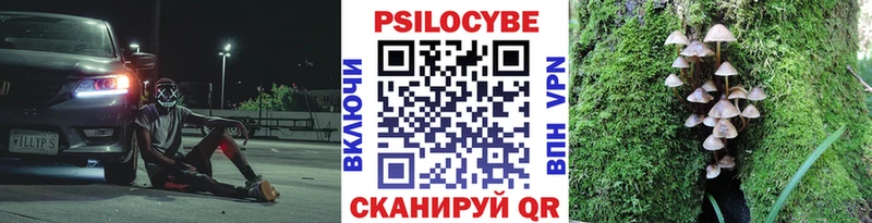 Псилоцибиновые грибы прущие грибы  Строитель 